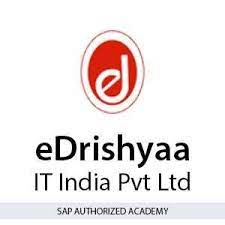 eDrishyaa IT India Pvt. Ltd.
