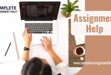 Online Assignment Help in the United States