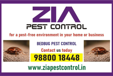 Pest Control service Rs. 999/- only | contact Zia pest control | 1825