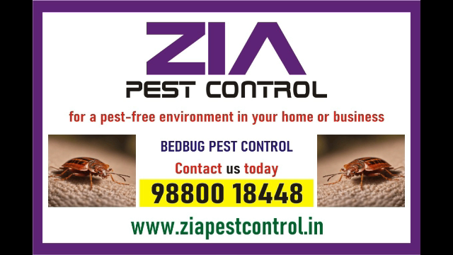 Pest Control service Rs. 999/- only | contact Zia pest control | 1825