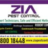 Rodent  Pest Control | get rid of rats | Appartments Office  | 1848