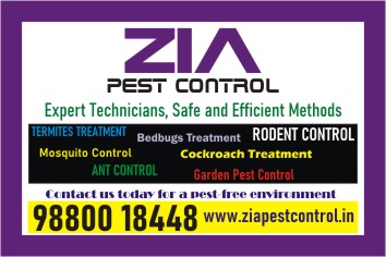 Private: Bedbug Treatment services in bangalore | Zia Pest Control  | 1812