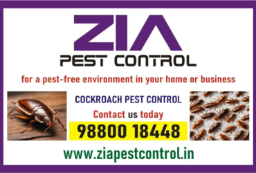 Low cost pest  service | Cockroach  service price just Rs. 700 only | 1904