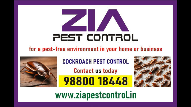 Low cost pest  service | Cockroach  service price just Rs. 700 only | 1904