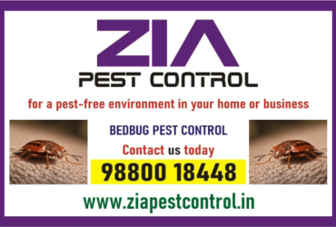 Zia Pest control | Bedbug Treatment Price List rs. 1500 | Rodent | 1881