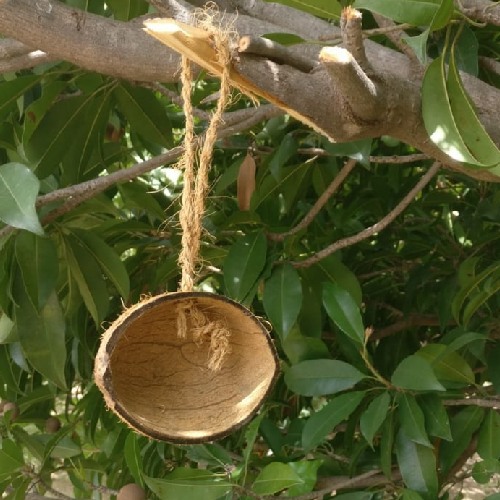 Coconut shells wholesale in Tuticorin