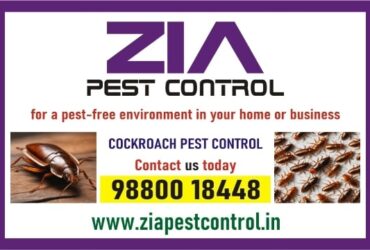 Zia pest control service Say goodbye to these pesky insects | 1981 | 100% Satisfaction