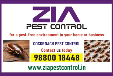 Cockroach Treatment | Zia pest control | safe and efficient methods | 2014