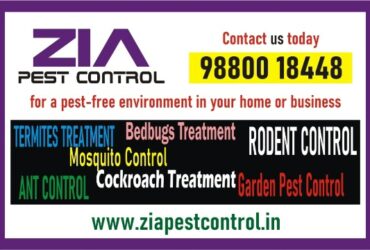 Zia Pest control | Cockroach service just Rs. 799/- only | Bangalore | 1978