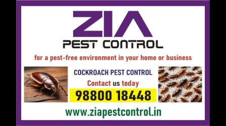 Specialist in Pest Control services | Cockroach service Upto 50% Off |  2090