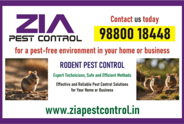 Rodent Control Treatment | Restaurant | Hotels | 2064 | Zia Pest Control