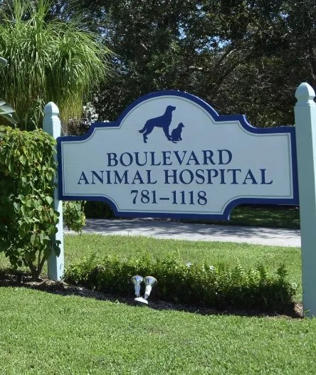 Private: Boulevard Animal Hospital