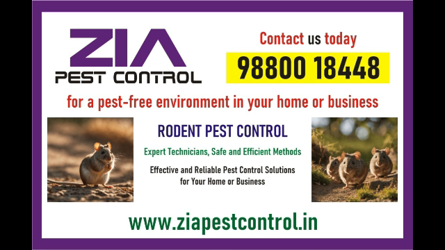 Rodent pest Control | PG| Appartments | Hospital | 1917 | Upto 20% Off