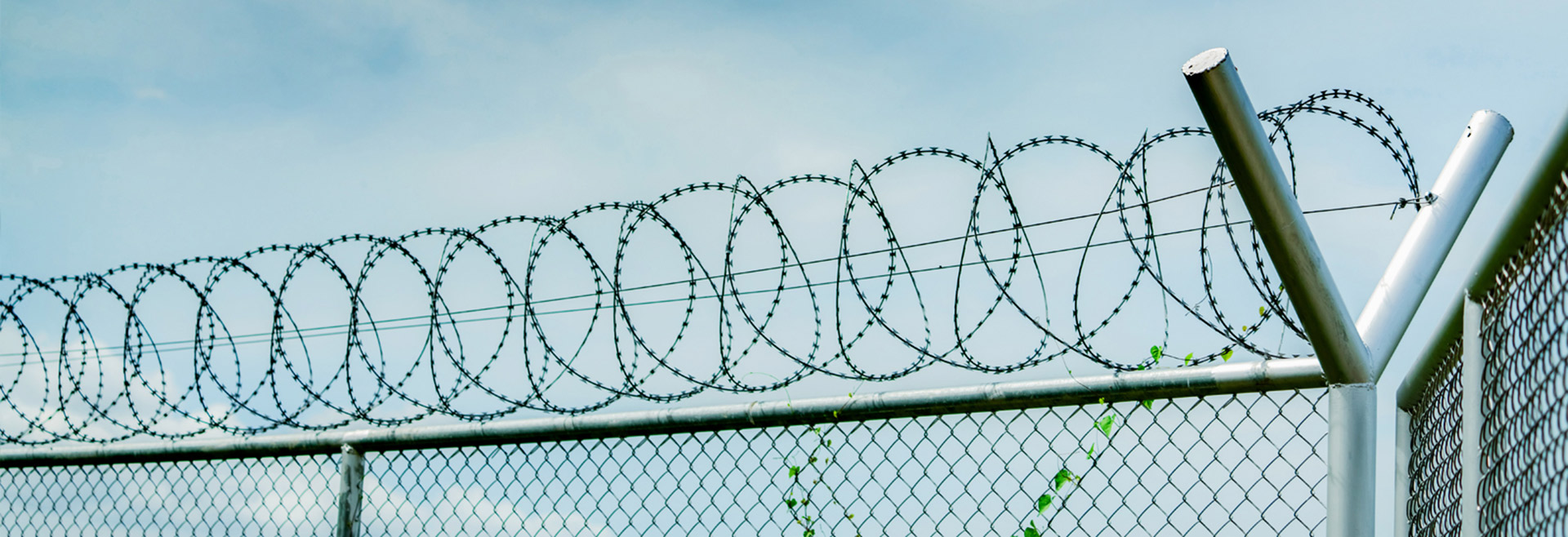 Reliable Barbed Wire Supplier – Durable & Affordable Options