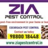 Cockroach Pest cleaning service | AMC is also available Price List | 1981