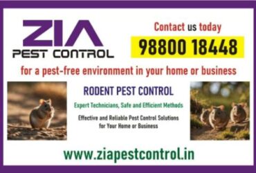 Rodent Pest Control | Specialised in Rodent control Upto 25% Off on  PG | 5041