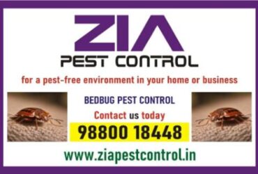 Top Bed Bug Pest Control in bangalore | Zia pest control | 6017