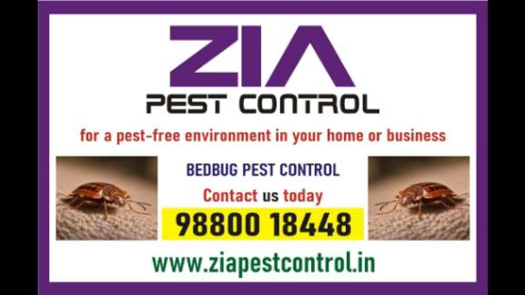 Top Bed Bug Pest Control in bangalore | Zia pest control | 6017