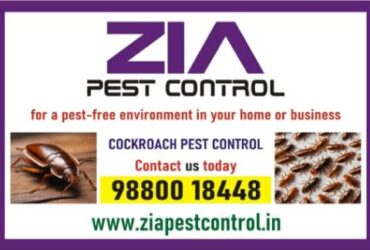 Cockroach pest control | Zia Pest Control Best Price and service  | 6017