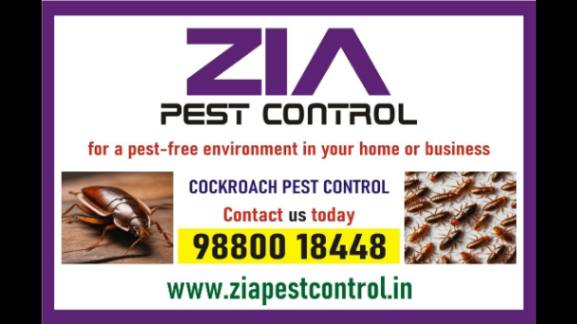 Cockroach pest control | Zia Pest Control Best Price and service  | 6017